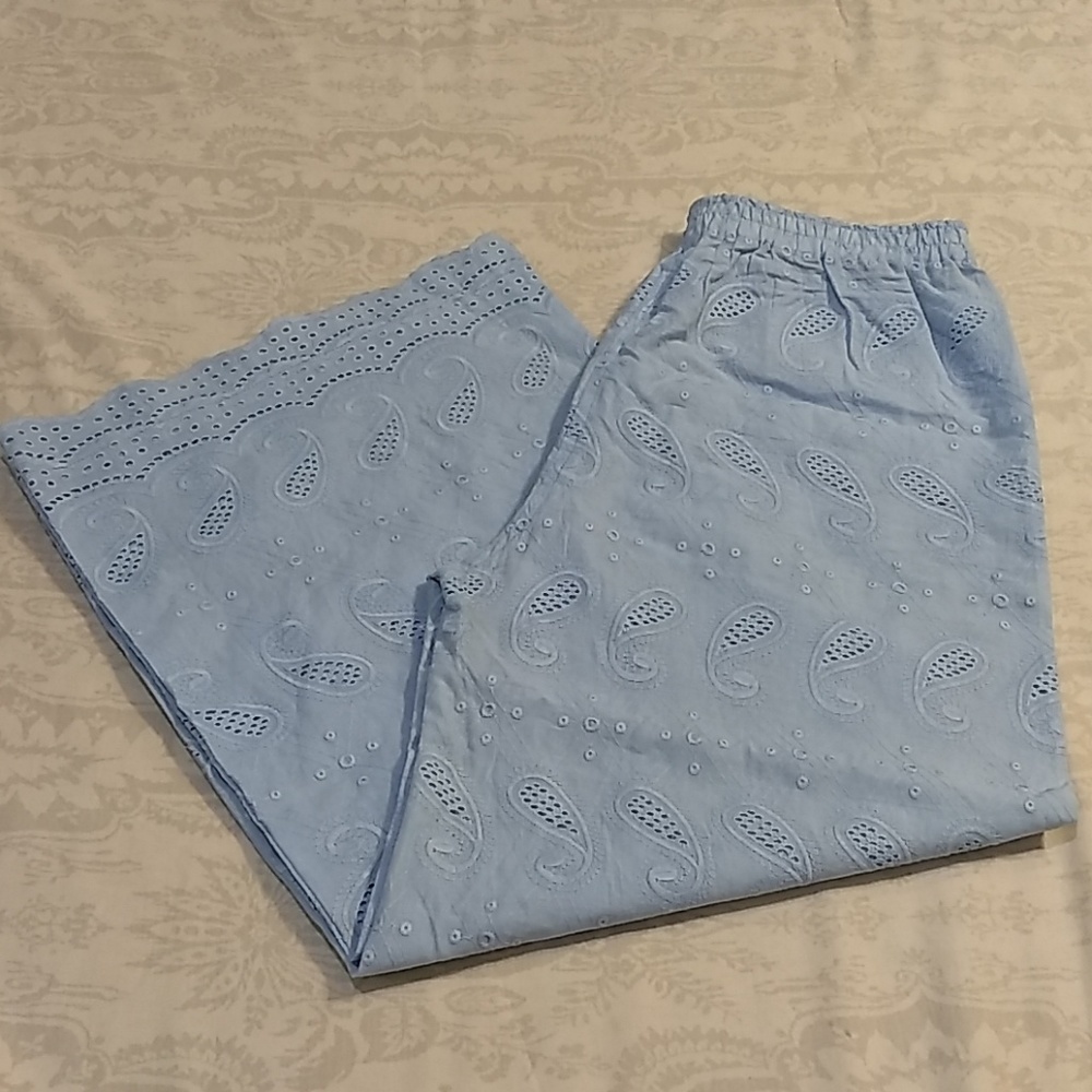 Baby blue Indian Punjabi Pakistani palazzo pants